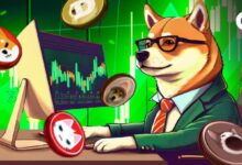 Resumen de Monedas Meme: Dogecoin, Shiba Inu y Otras Experimentan Caídas de Precio - Descubre Más Ahora - Cripto Boom