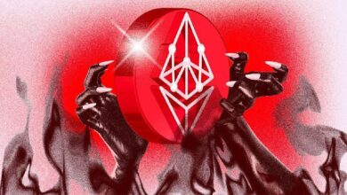 Argot de la Fundación Ethereum Enfrenta Críticas por Ignorar a Vyper: ¡Descubre la Controversia! - Cripto Boom