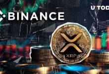 XRP por las Nubes: ¡Descubre su Máximo en Binance Hoy! - Cripto Boom