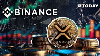 XRP por las Nubes: ¡Descubre su Máximo en Binance Hoy! - Cripto Boom