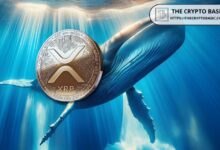 Ballenas XRP Acumulan 320M de Tokens en 72 Horas: ¡Prepárate para el Alza de XRP Hacia $1! - Cripto Boom