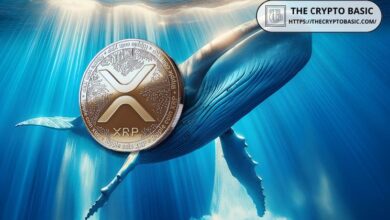 Ballenas XRP Acumulan 320M de Tokens en 72 Horas: ¡Prepárate para el Alza de XRP Hacia $1! - Cripto Boom