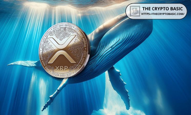 Ballenas XRP Acumulan 320M de Tokens en 72 Horas: ¡Prepárate para el Alza de XRP Hacia $1! - Cripto Boom