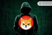 Líder de Shiba Inu Responde a Críticos: ¡Descubre Cómo SHIB Está Marcando la Diferencia! - Cripto Boom