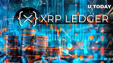 El XRP Ledger Presenta una Importante Actualización: ¡Descubre las Novedades! - Cripto Boom