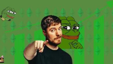 ¿Financió MrBeast el Token PEPE? Descubre las Alegaciones Cripto Exploradas - Cripto Boom