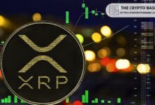 XRP Se Dispara un 45%: ¿Continuará el Aumento con FOMO y Tasas de Financiación Estables? Descúbrelo Aquí - Cripto Boom