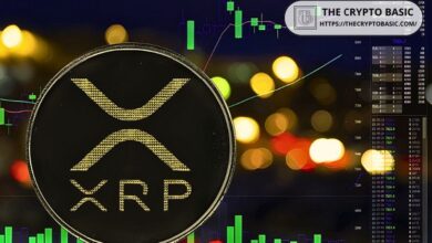 XRP Se Dispara un 45%: ¿Continuará el Aumento con FOMO y Tasas de Financiación Estables? Descúbrelo Aquí - Cripto Boom