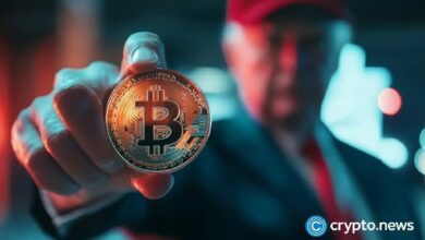 La fiebre de compra de ballenas elevó Bitcoin a $92k; ¿podrá llegar a $100k antes de diciembre? Descúbrelo aquí. - Cripto Boom