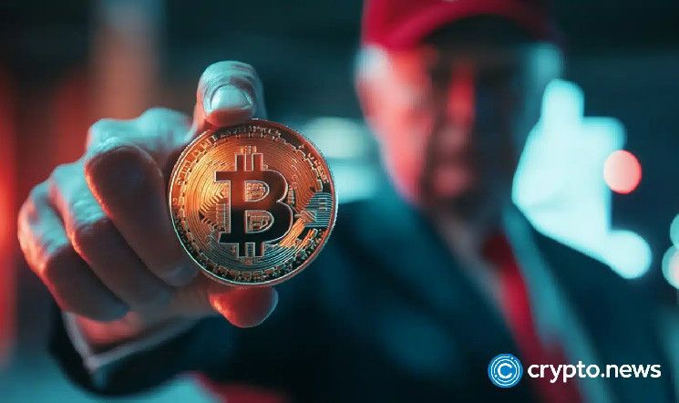 La fiebre de compra de ballenas elevó Bitcoin a $92k; ¿podrá llegar a $100k antes de diciembre? Descúbrelo aquí. - Cripto Boom