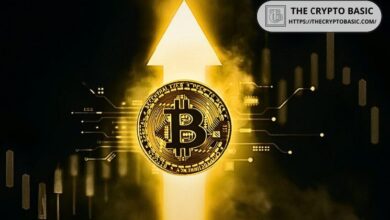 Experto del Mercado Thomas Lee: Precio de Bitcoin en Seis Cifras Aún Posible para Fin de Año - ¡Descubre Más! - Cripto Boom