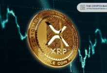 Famosa Modelo Revela que Posee XRP y Promete Defender XRP: ¡Descubre Más! - Cripto Boom