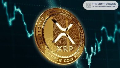 Famosa Modelo Revela que Posee XRP y Promete Defender XRP: ¡Descubre Más! - Cripto Boom