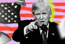 Las Memecoins Inspiradas en Donald Trump se Disparan en Medio del Fervor Electoral de EE.UU. – ¡Descubre Más! - Cripto Boom