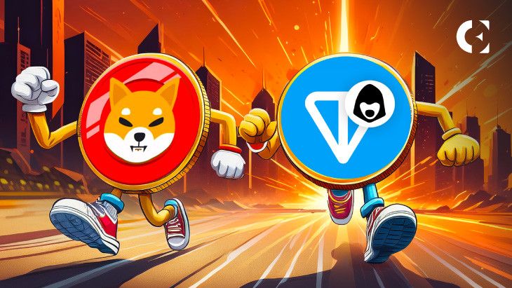 El Aumento del Valor de Mercado de Toncoin Amenaza la Posición de Shiba Inu: Descubre Más - Cripto Boom