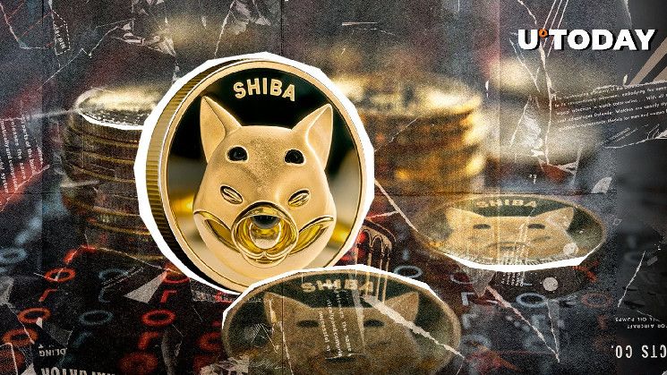 ¡Shiba Inu (SHIB) se une a la élite cripto con un alza del 81%! Descubre el inesperado giro épico - Cripto Boom