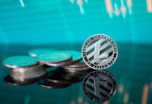 Litecoin Adopta Identidad Memecoin: ¡Descubre su Impacto en el Precio! - Cripto Boom