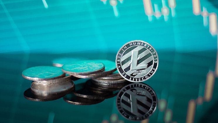 Litecoin Adopta Identidad Memecoin: ¡Descubre su Impacto en el Precio! - Cripto Boom