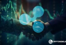 Ripple y Cardano: Garlinghouse y Hoskinson Insinúan Posible Colaboración - ¡Descubre Más! - Cripto Boom