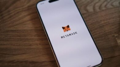 IoTeX se integra con MetaMask: Descubre nuevas oportunidades en el mundo DePin - Cripto Boom