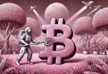 Descubre el Futuro de Bitcoin tras una de las Acumulaciones más Prolongadas de la Historia, según Analista - Cripto Boom