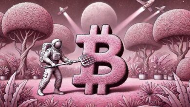 Descubre el Futuro de Bitcoin tras una de las Acumulaciones más Prolongadas de la Historia, según Analista - Cripto Boom