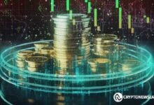 Bull Run 2024: Altcoins Clave para Observar Esta Semana – ¡Descubre Cronos, Toncoin y NEAR Protocol! - Cripto Boom