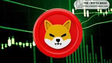 Experto Asegura que el Aumento del 89,030% de Shiba Inu Podría Repetirse Pronto: ¡Descubre Más! - Cripto Boom