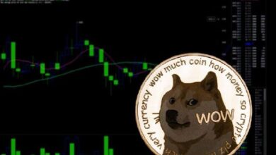 Descubre por qué los analistas creen que Dogecoin (DOGE) tiene más potencial de crecimiento - Cripto Boom