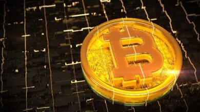 Titulares de Bitcoin a Largo Plazo Siguen Ambiciosos Mientras el Precio Se Acerca a $100,000, Descubre Por Qué Esto es Beneficioso - Cripto Boom