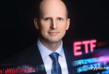 El presidente de ETF Store, Nate Geraci, insinúa futuros ETFs al contado: ¡Descubre más! - Cripto Boom