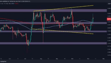 Análisis del Precio de Ripple: Descubre el Próximo Objetivo de Resistencia de XRP tras un Aumento Semanal del 15% - Cripto Boom