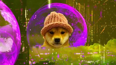 ¡Dogwifhat (WIF) Memecoin Sigue Subiendo Tras Listado en Coinbase! - Cripto Boom