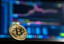 "¡Bitcoin a $100,000 está cerca! Descubre la opinión del experto" - Cripto Boom