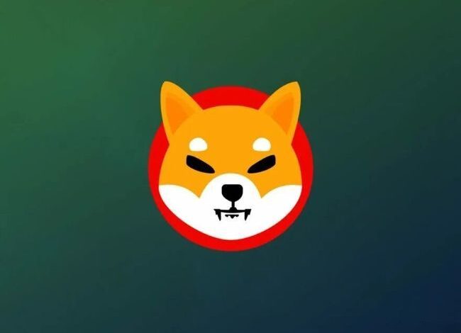 Vigilancia del Precio de Shiba Inu: Rally del 60% Atrae la Atención de Ballenas – ¿Se Avecina Más Crecimiento? - Cripto Boom