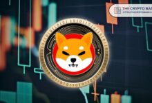 Inversor Principiante Afirma que No Venderá Shiba Inu Hasta que SHIB Aumente un 1,967,629% para Alcanzar $0.50: ¿Estás Preparado para el Viaje? - Cripto Boom