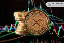 ¡Descubre por qué un experto afirma que XRP podría alcanzar $100, dejando atrás las preocupaciones del market cap! - Cripto Boom