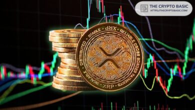 ¡Descubre por qué un experto afirma que XRP podría alcanzar $100, dejando atrás las preocupaciones del market cap! - Cripto Boom