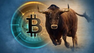 Bitcoin Rompe Récord Nuevamente: Nuevo ATH es $88,378 – ¡Descubre Cuánto Durará el Rally Según Analista! - Cripto Boom