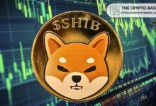 Shiba Inu Podría Despegar: Mensaje Misterioso de 'Growvember' de Líder de SHIB ¡Descubre Más! - Cripto Boom