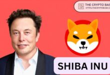 El líder de Shiba Inu imita esta estrategia de Elon Musk: Descubre cómo - Cripto Boom