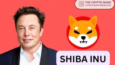 El líder de Shiba Inu imita esta estrategia de Elon Musk: Descubre cómo - Cripto Boom