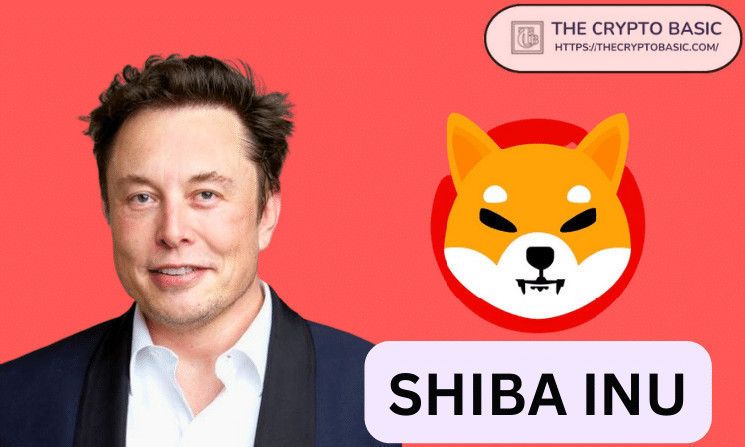 El líder de Shiba Inu imita esta estrategia de Elon Musk: Descubre cómo - Cripto Boom