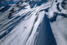 Desarrolladores de Avalanche Lanza Testnet Blockchain ‘Avalanche9000’: Descubre las Innovaciones Ahora - Cripto Boom