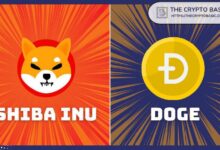 Firma de Investigación de Inversiones Destaca el Interesante Gráfico de Shiba Inu: ¿SHIB Superará a Dogecoin en 2025? ¡Descúbrelo! - Cripto Boom