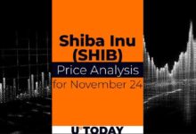 Predicción del Precio de SHIB para el 24 de Noviembre: Descubre las Tendencias Ahora - Cripto Boom