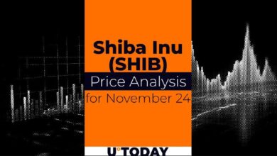 Predicción del Precio de SHIB para el 24 de Noviembre: Descubre las Tendencias Ahora - Cripto Boom