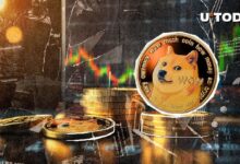 Dogecoin (DOGE) Aumenta un 30% en 7 Días: Descubre las Posibles Razones - Cripto Boom