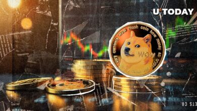 Dogecoin (DOGE) Aumenta un 30% en 7 Días: Descubre las Posibles Razones - Cripto Boom