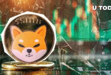 Shiba Inu (SHIB) alcanza máximo de 30 días: ¿Será el ATH el próximo? Descúbrelo aquí. - Cripto Boom